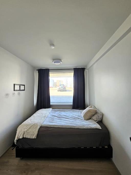 Apartment Near Reykjavik'S Heart Dış mekan fotoğraf